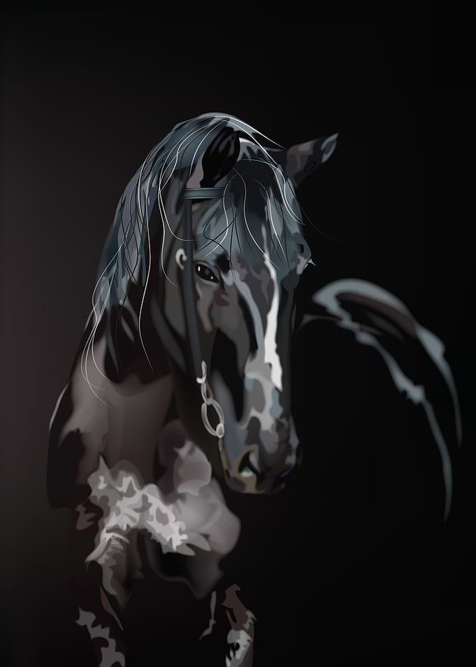 black horse