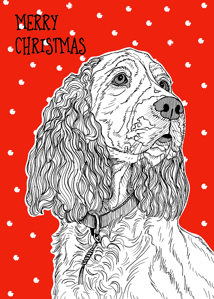 Spaniel Christmas Greeting