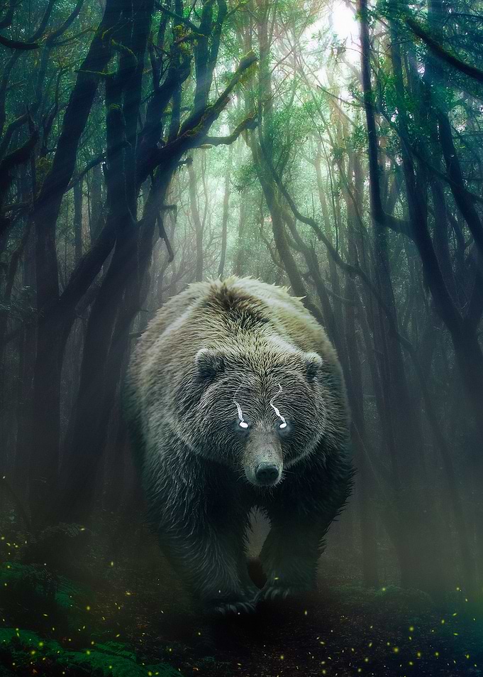 Bear