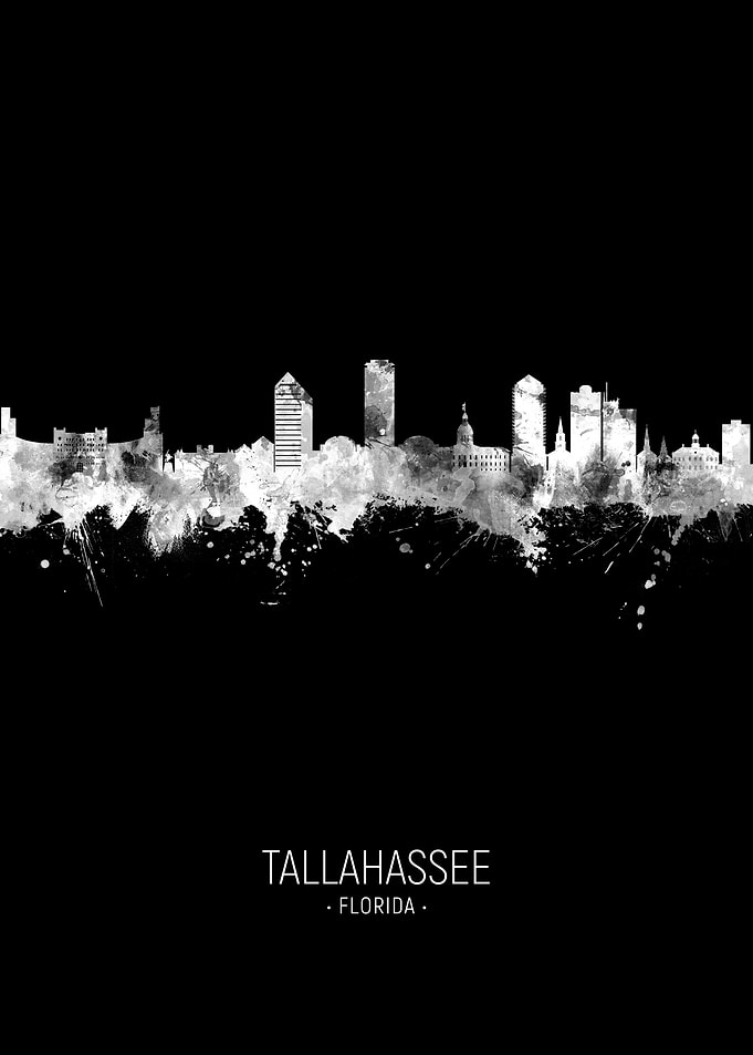 Tallahassee Skyline