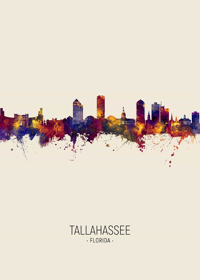 Tallahassee Skyline