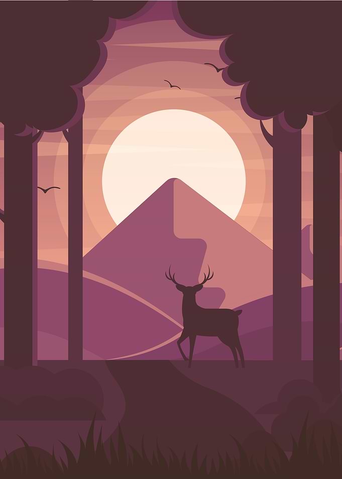 deer 2