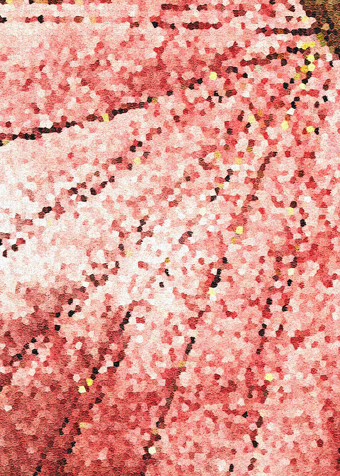 Coral Carob Spot01
