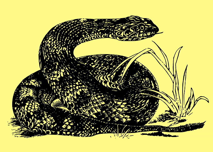 vintage snake art
