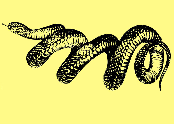 vintage snake art