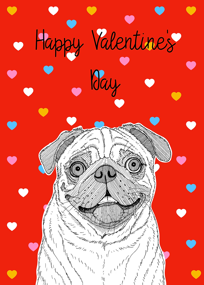 Pug Valentines Day