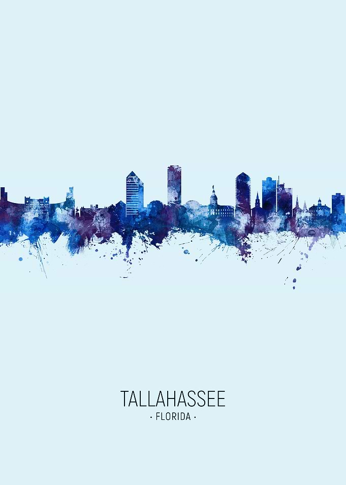 Tallahassee Skyline