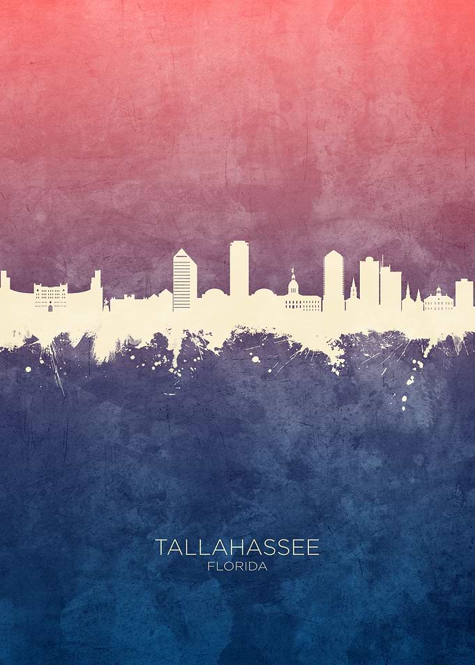 Tallahassee Skyline