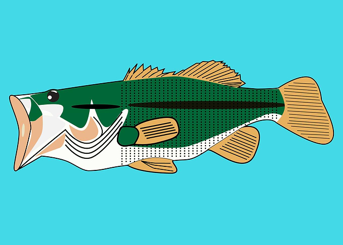 aquatic animal fish art