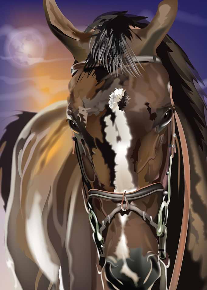 moonlit horse