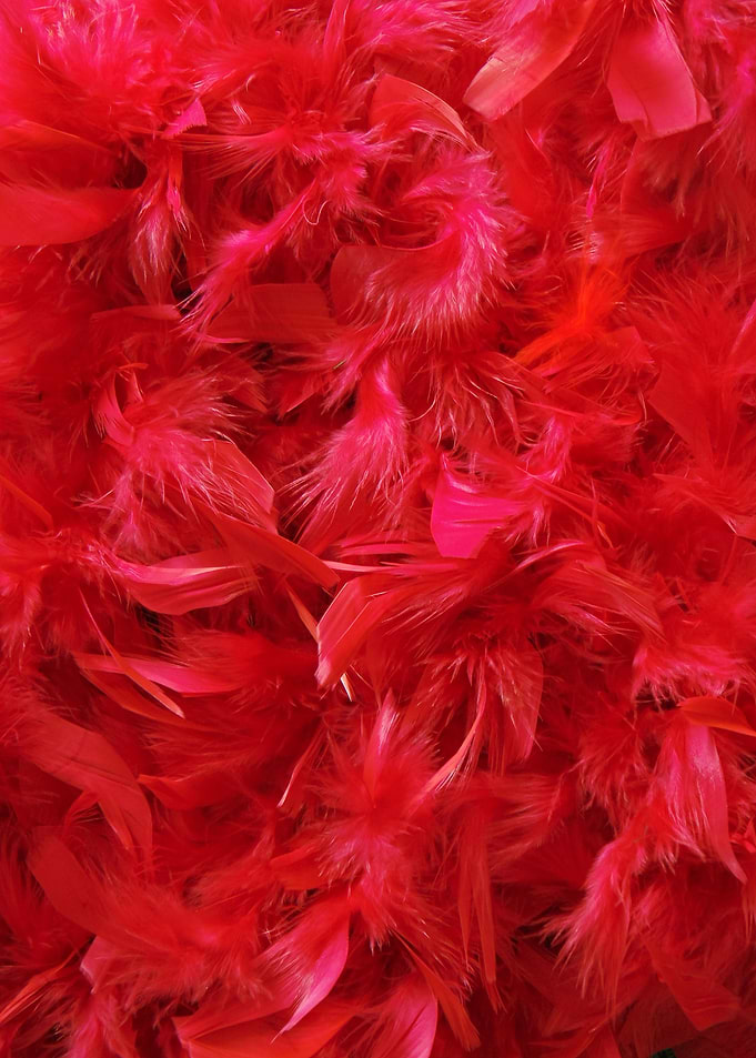Feathers red