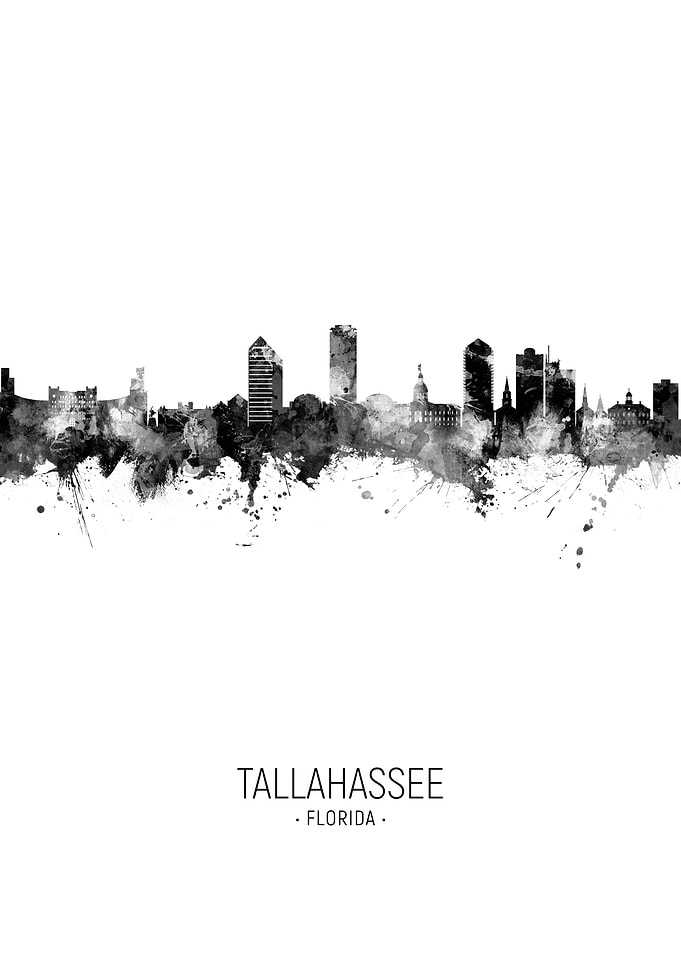 Tallahassee Skyline