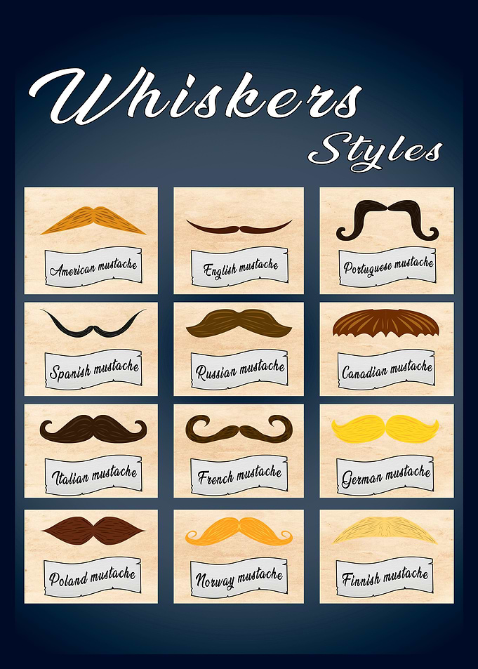 Whiskers styles