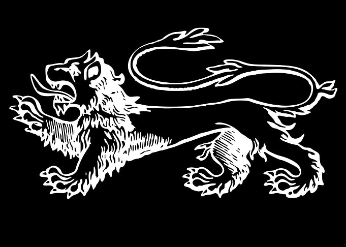 lion art hand drawn