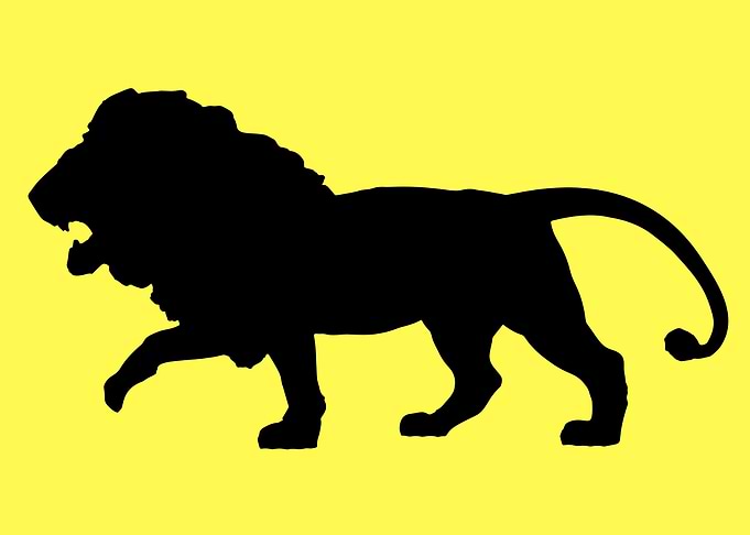 lion art hand drawn
