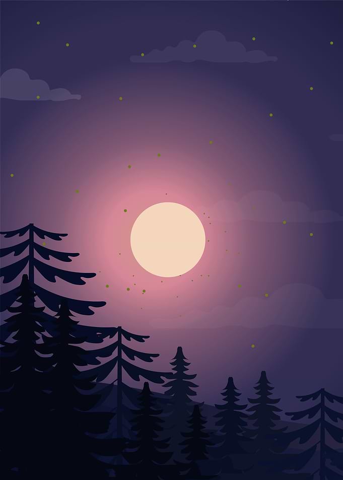 night