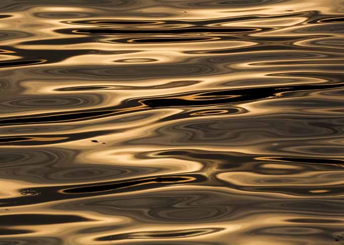 Golden River Vltava