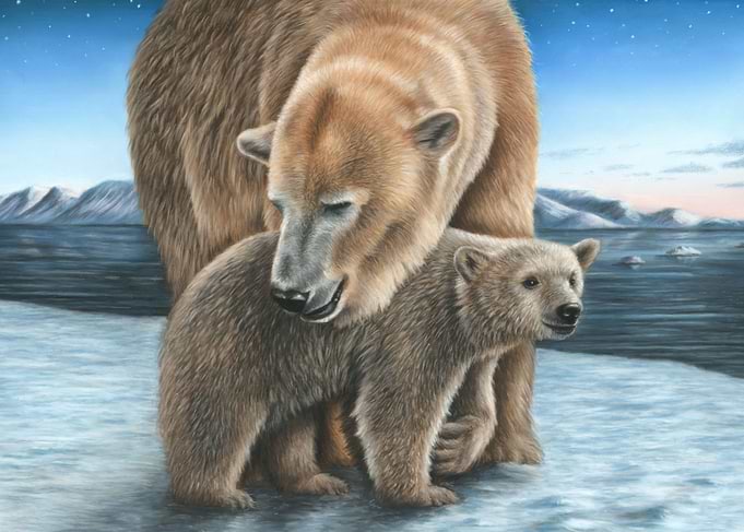 Polar Bear