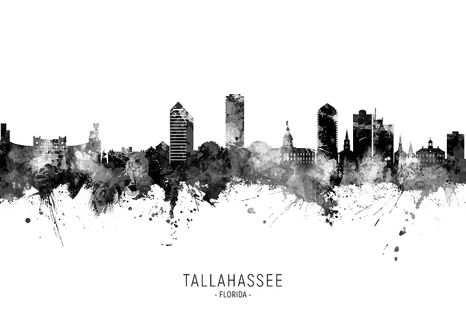 Tallahassee Skyline
