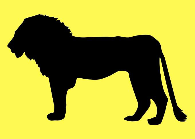 lion art hand drawn
