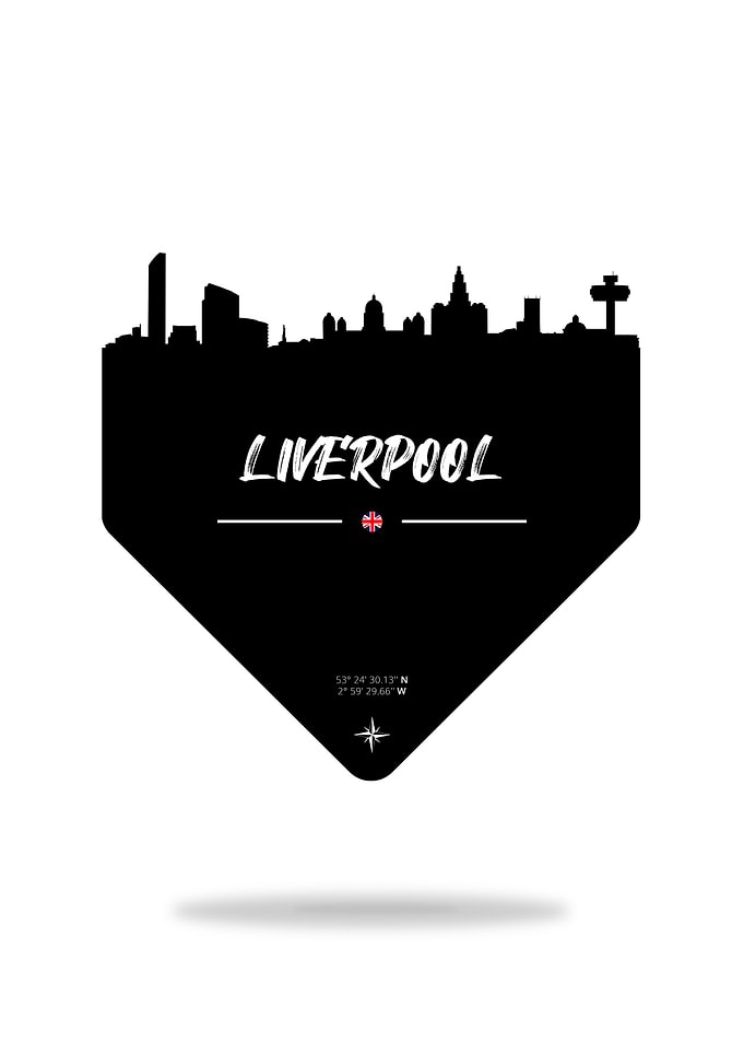 Liverpool England Skyline