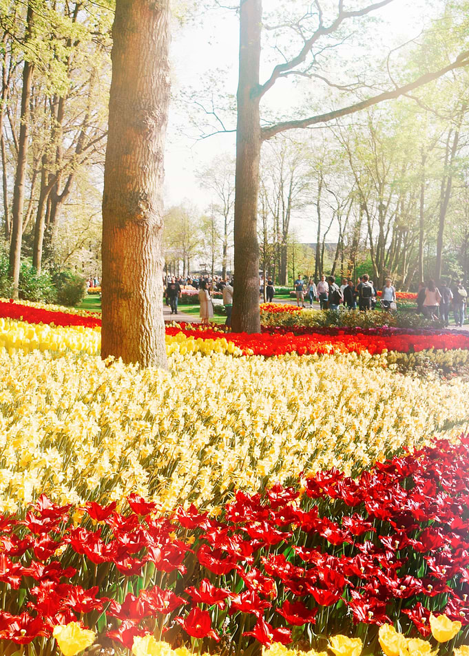 Spring Garden 2