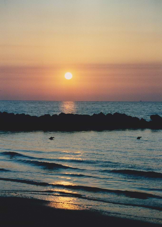 Sunset Ocean Bliss 1