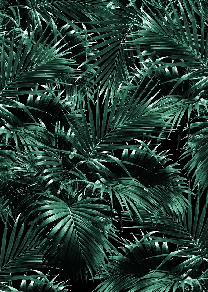 Tropical Palm Leaf Jungle