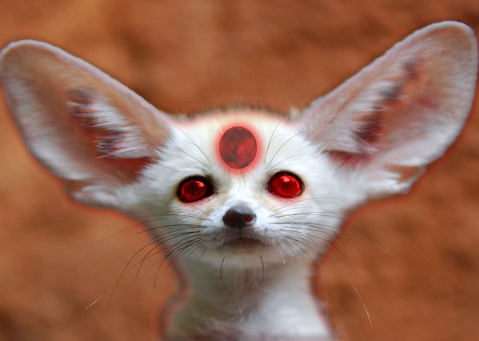 Fox