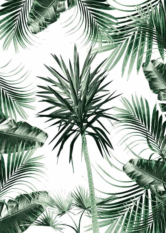 Tropical Summer Vibes Mix