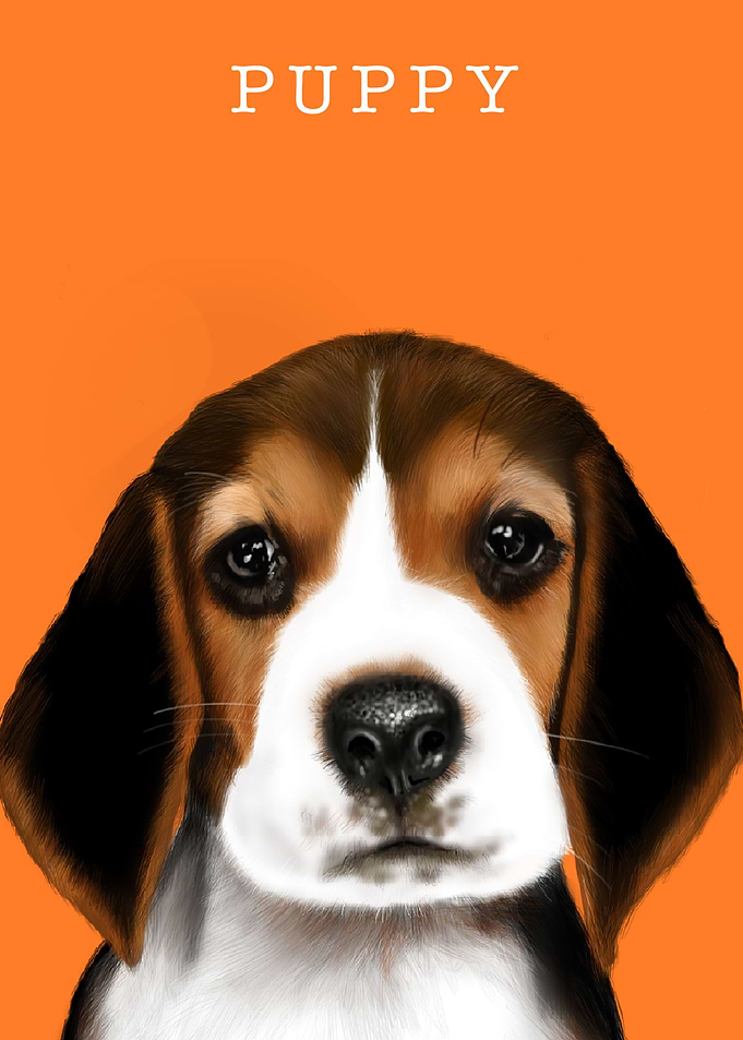Puppy