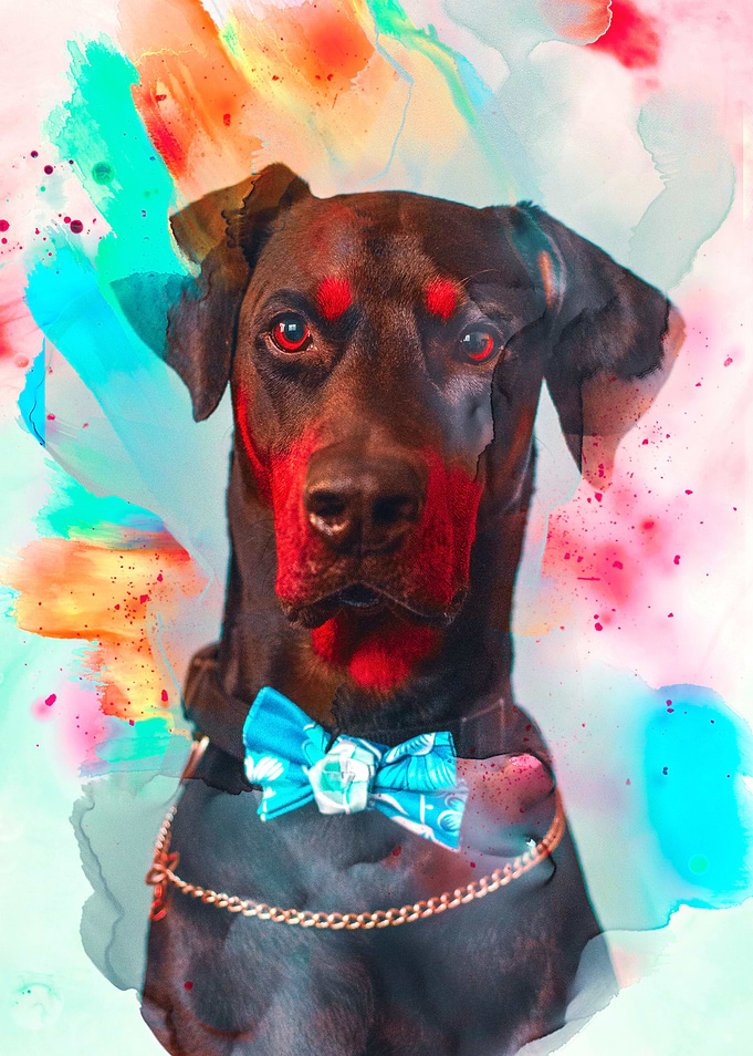 Doberman
