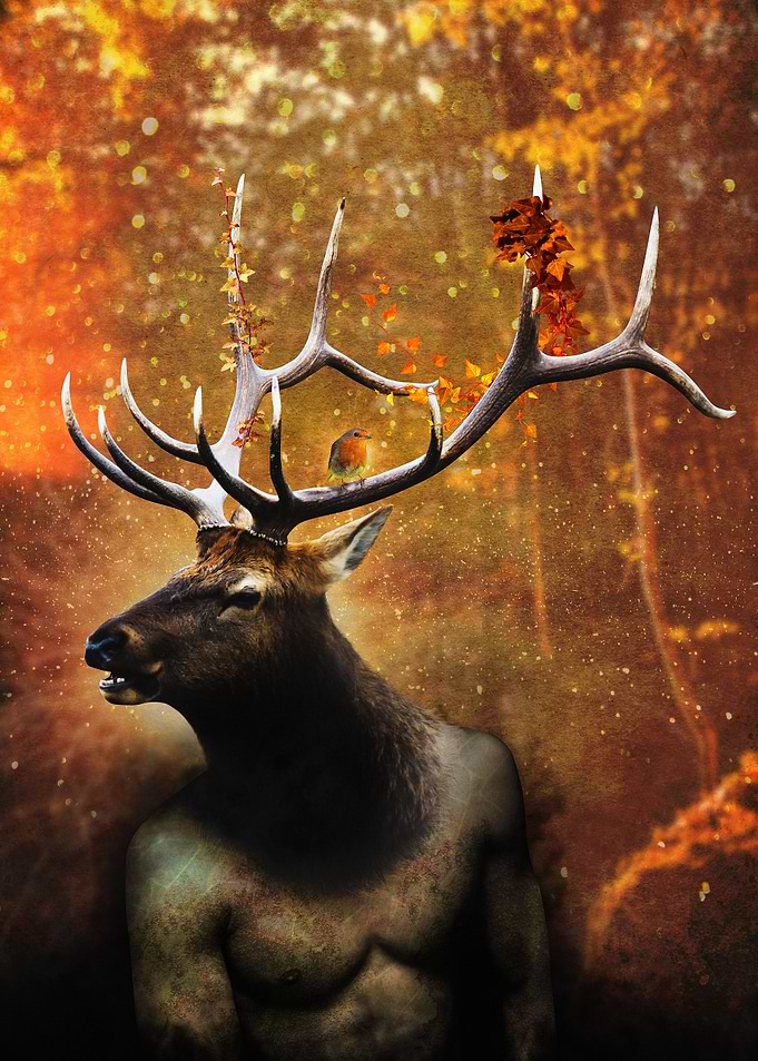 Deer