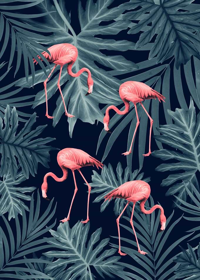 Summer Flamingo Jungle 1