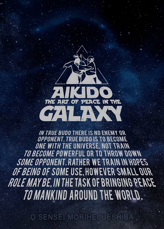 Aikido True Budo