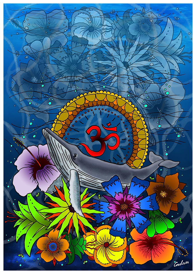OM Whale