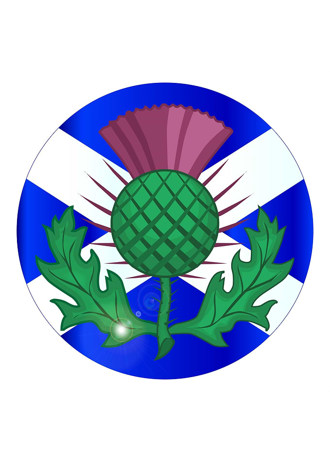 Scotish Flag And Thistle