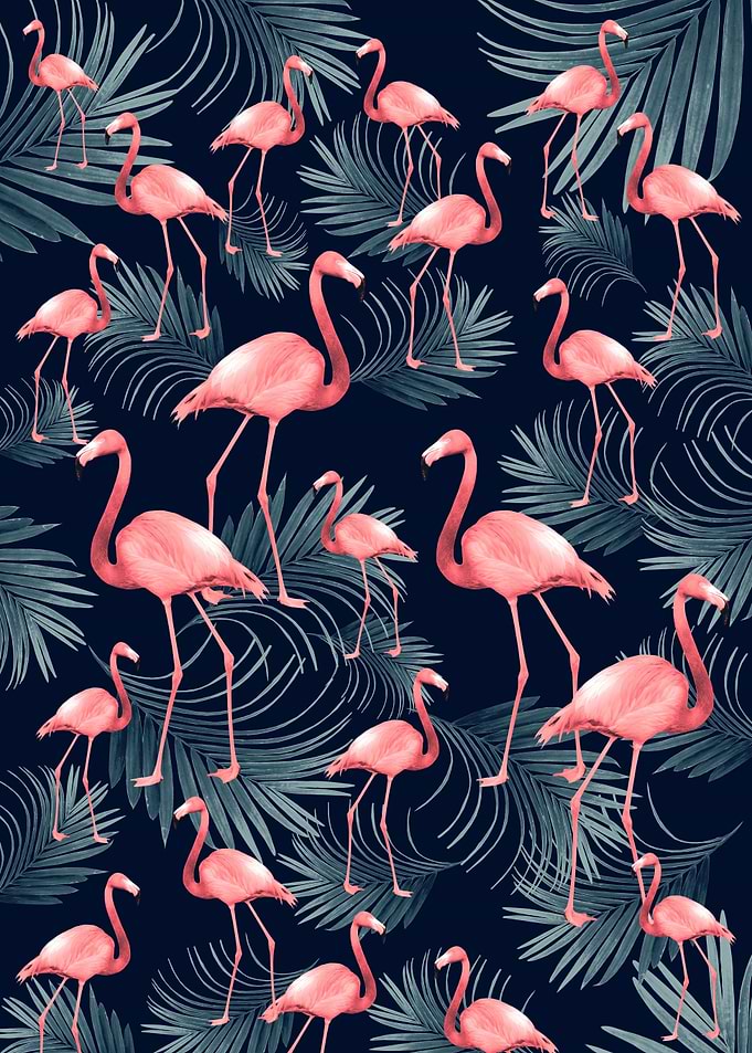 Summer Flamingo Palm Night