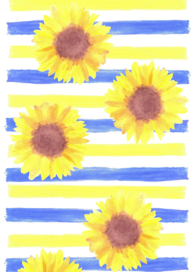 Sunflowers or Helianthus
