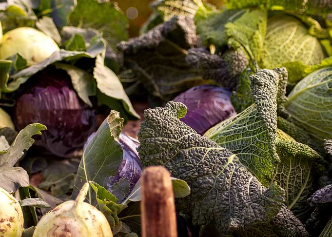 Autumn vegatables