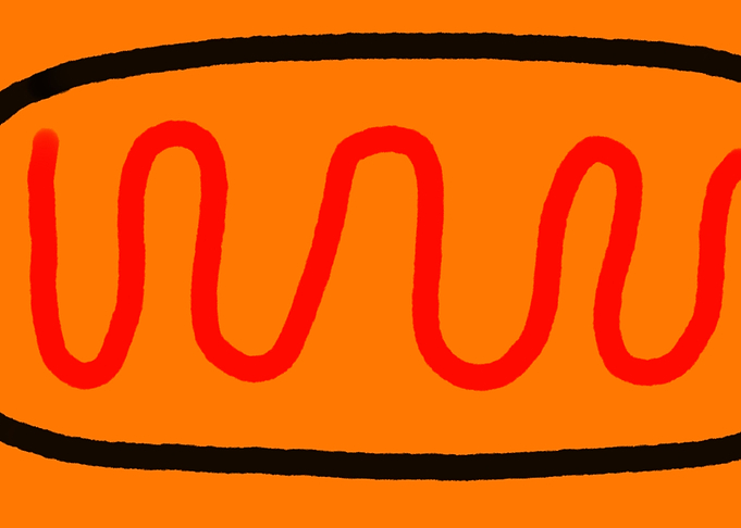 corndog