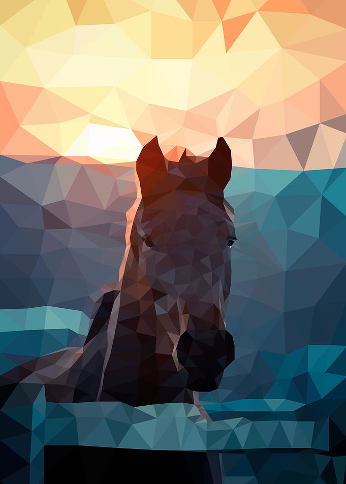 Horse portrait