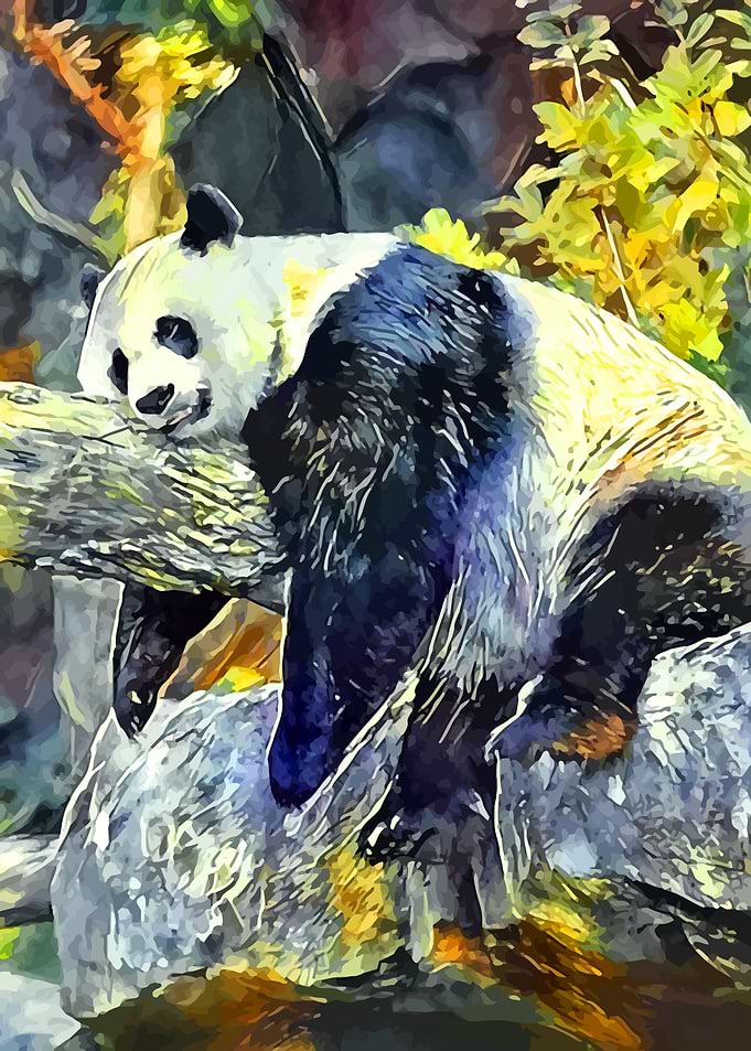 Relax Panda