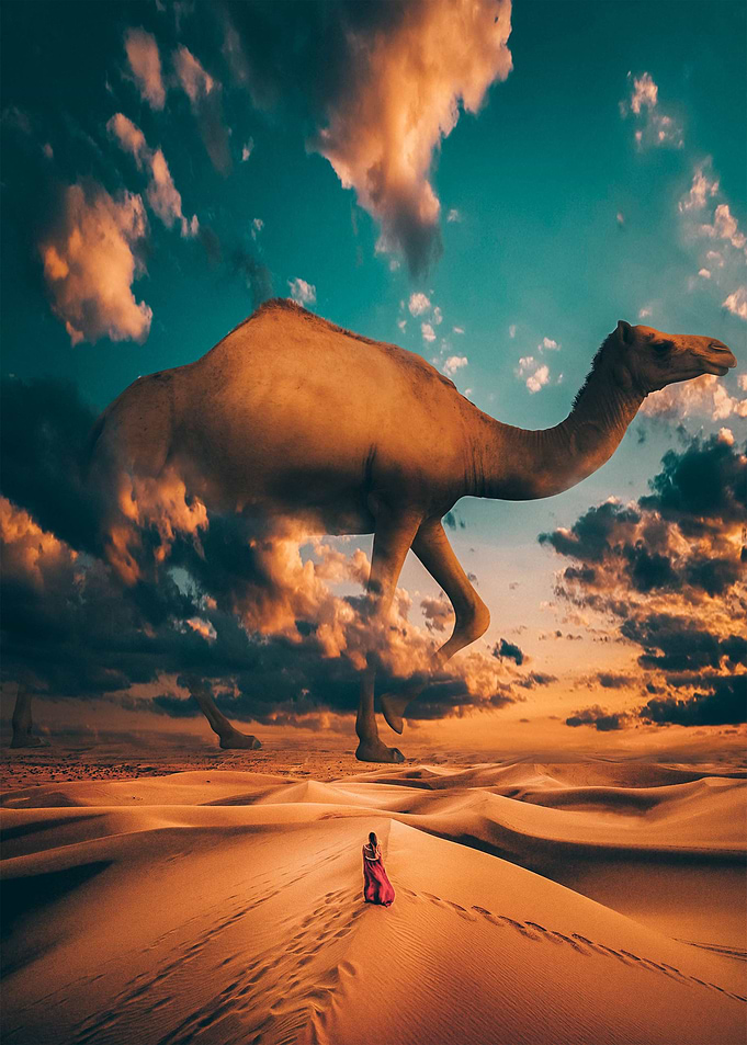 Camel Crossing