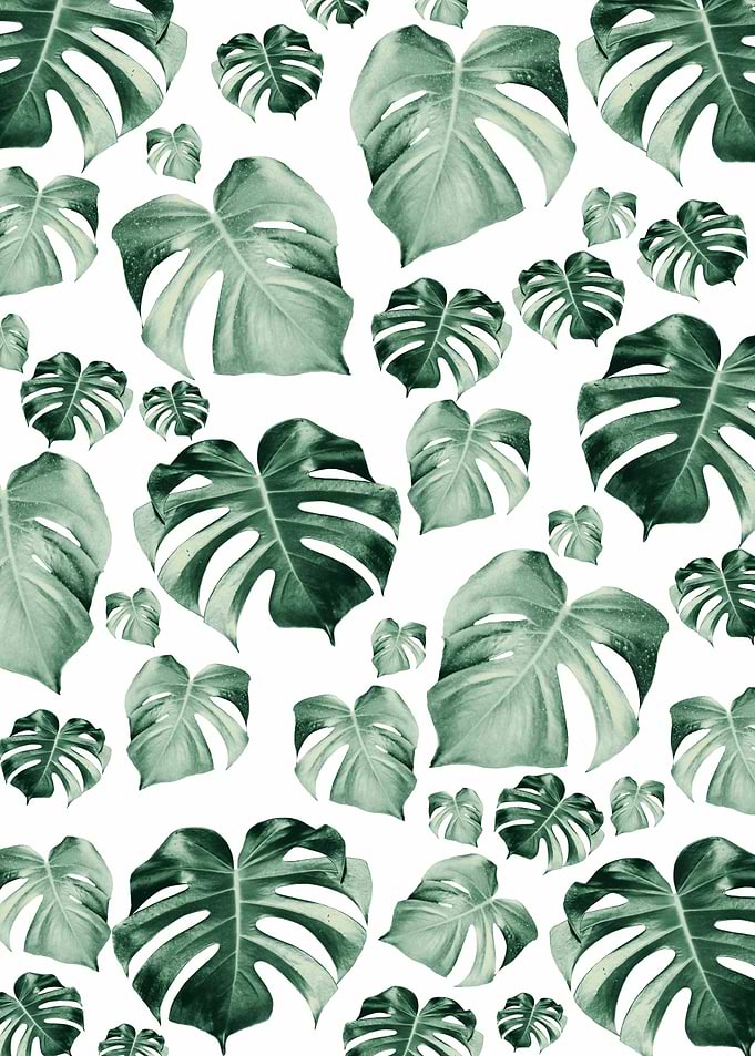 Monstera Pattern 2