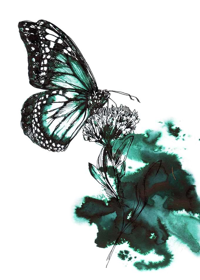 Luscious nectar harmony