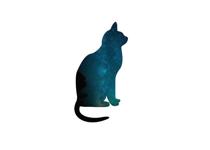 Space cat silhouette
