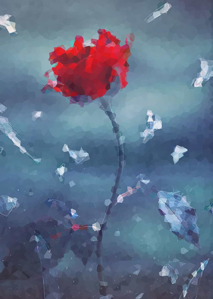 rose