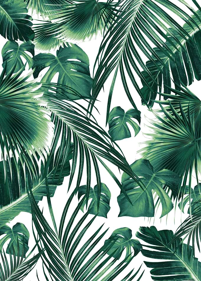 Tropical Jungle Leaves 3