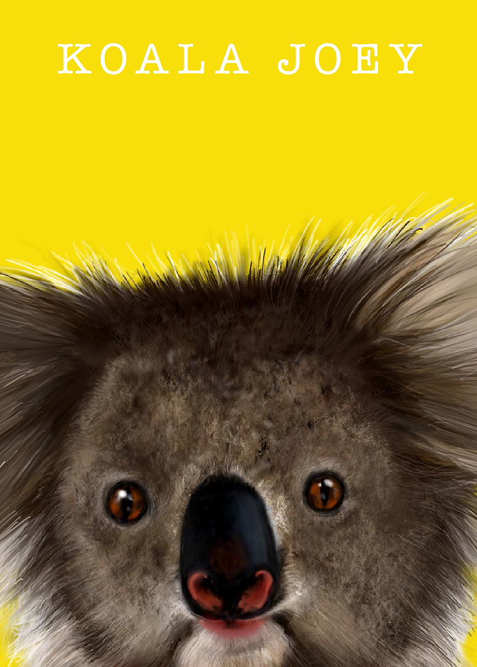 Koala Joey